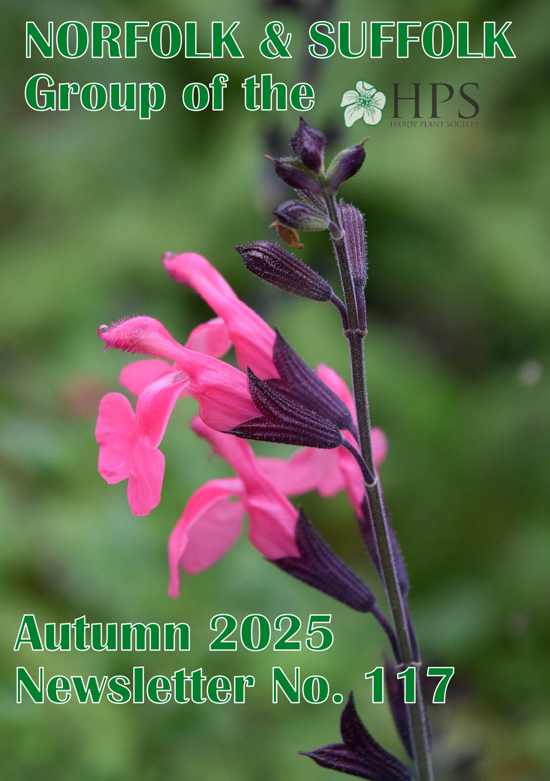 Cover.jpg