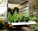loading-plants