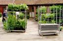 preparing-plants-working.jpg